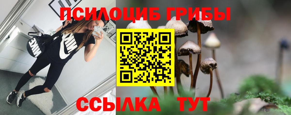 Псилоцибиновые грибы мицелий  Вход с VPN  Карачаевск 